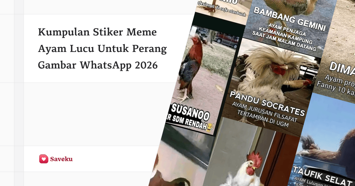 Stiker Meme Ayam Lucu Untuk Perang Gambar WhatsApp 2026
